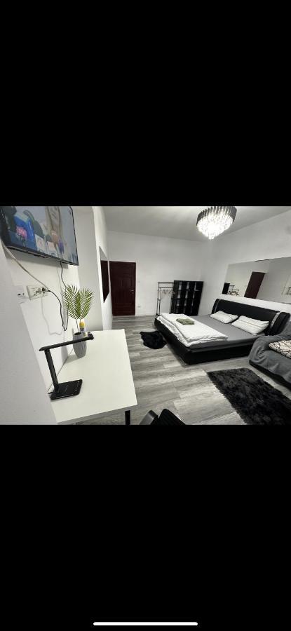 Piata Libertatii Apartament 1 Room Timisoara Exterior photo